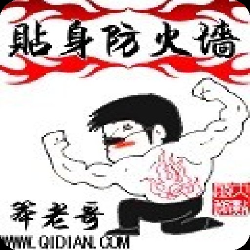 风云防火墙20132013 个人版