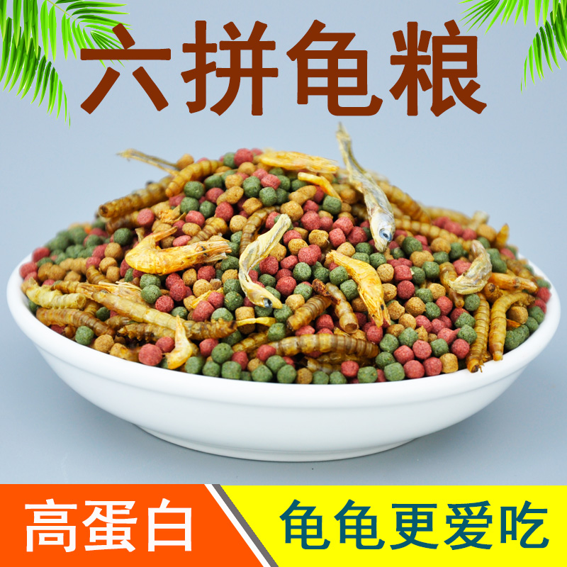巴西龟龟粮大揭秘：让小龟快快乐乐健康成长！