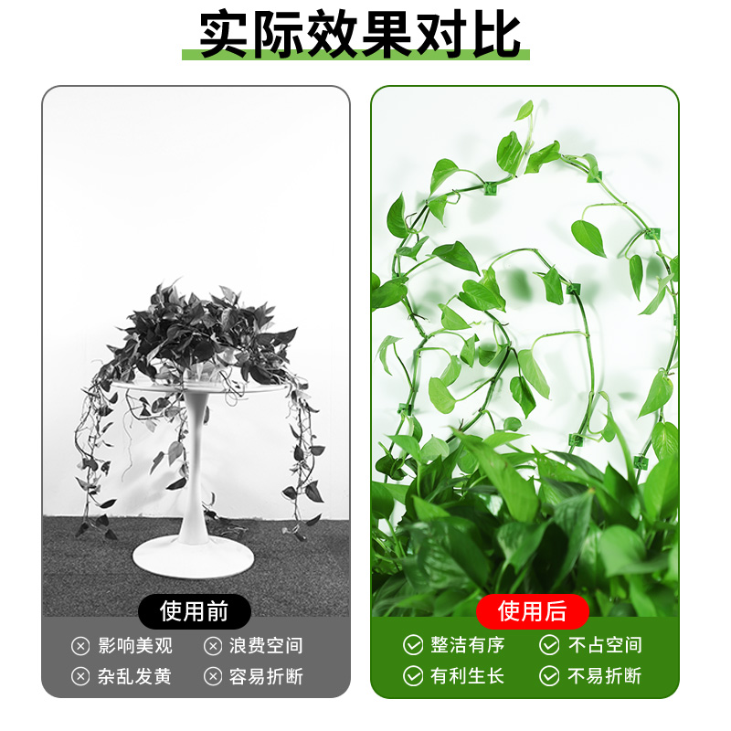 神器来袭！绿箩攀爬新姿势——绿萝固定器+攀爬夹子，轻松打造自然绿意空间！