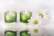Green Relax Screensaver2.2
