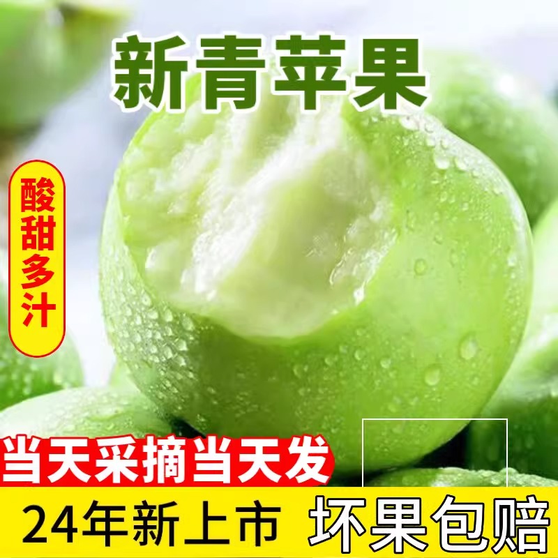 陕西青苹果：当季现摘，酸脆甜的绿色诱惑，孕妇也能安心享用！