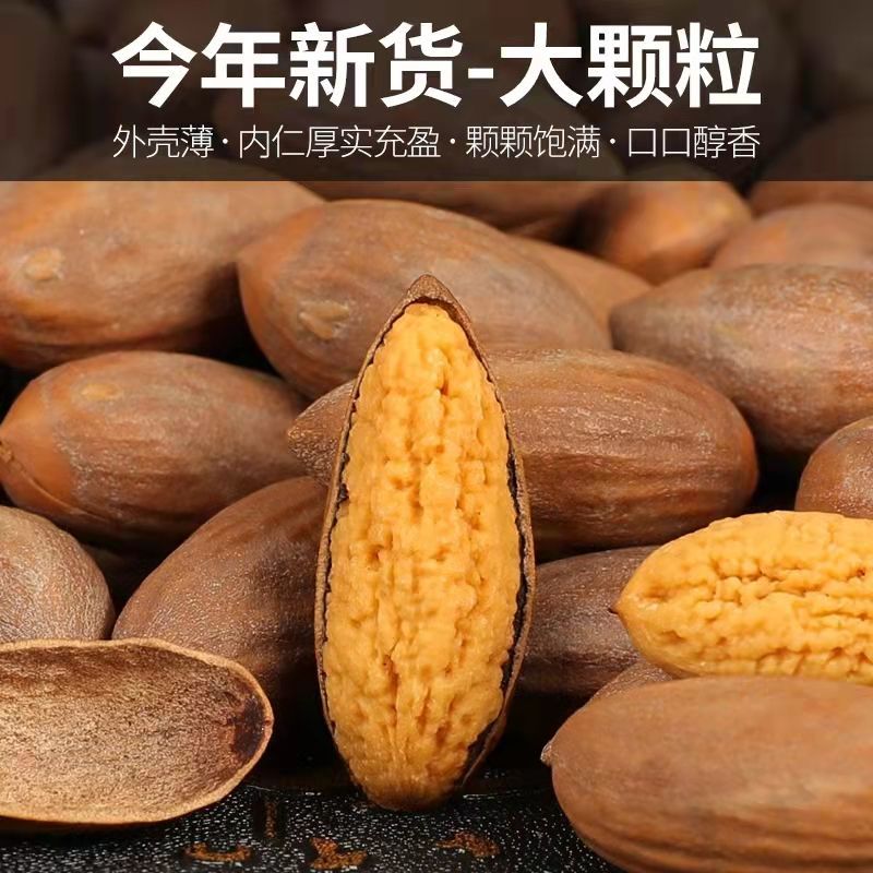 老树香榧子500g：诸暨枫桥的年货新宠，坚果中的贵族