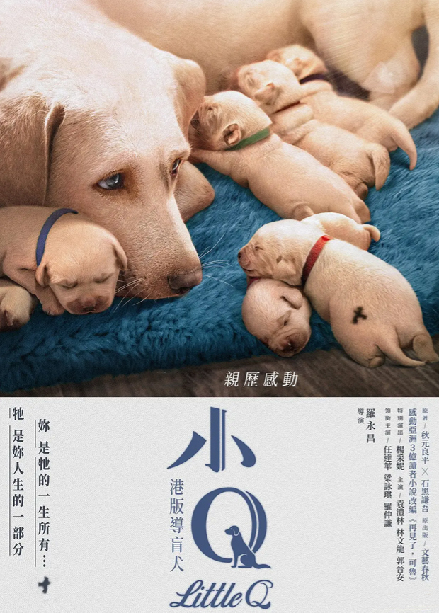 小Q 粤配