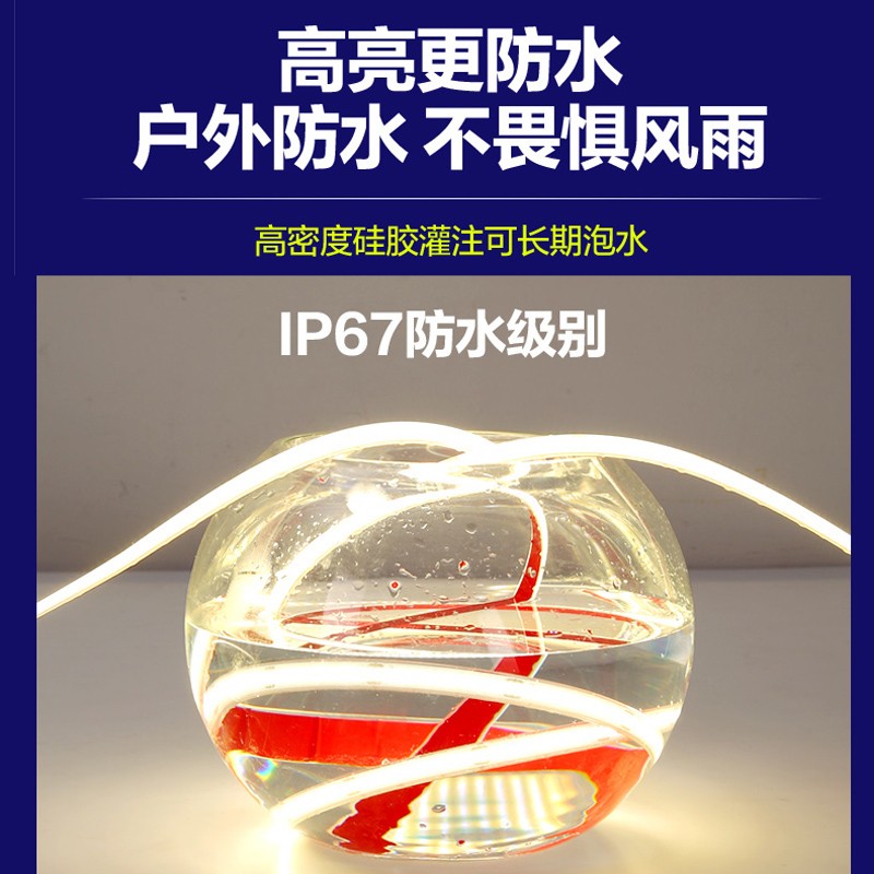 户外防水COB灯带24V：点亮你的夜晚，打造梦幻水下氛围