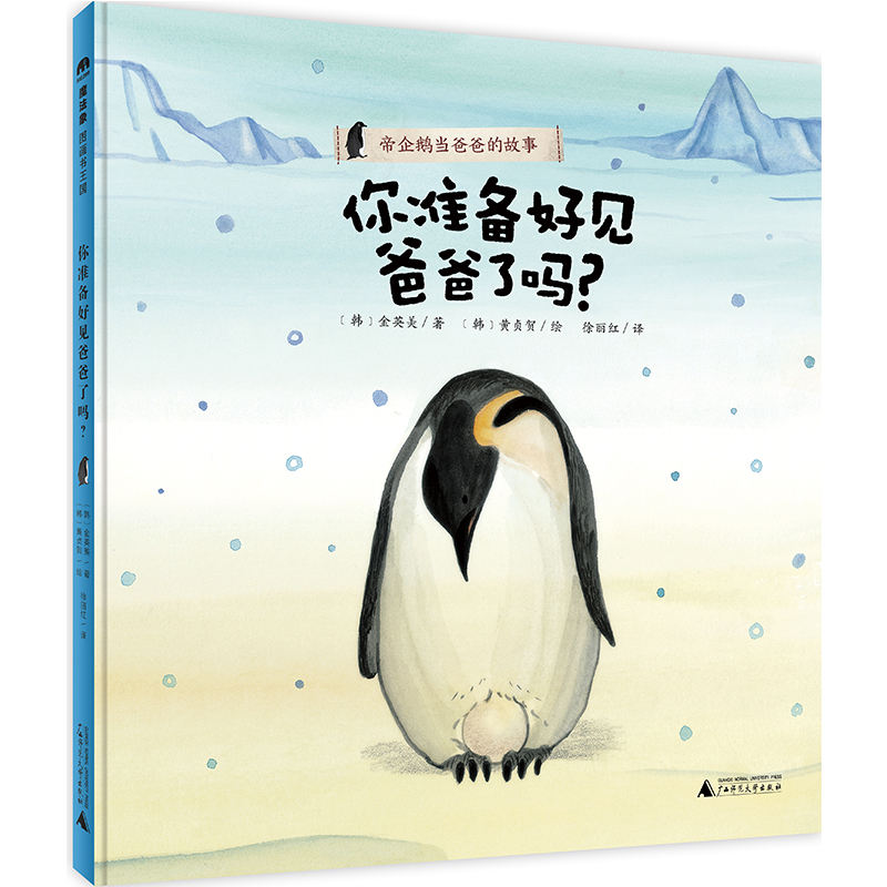 森海塞尔HD800S：开启你的高保真音乐之旅，你准备好了吗？