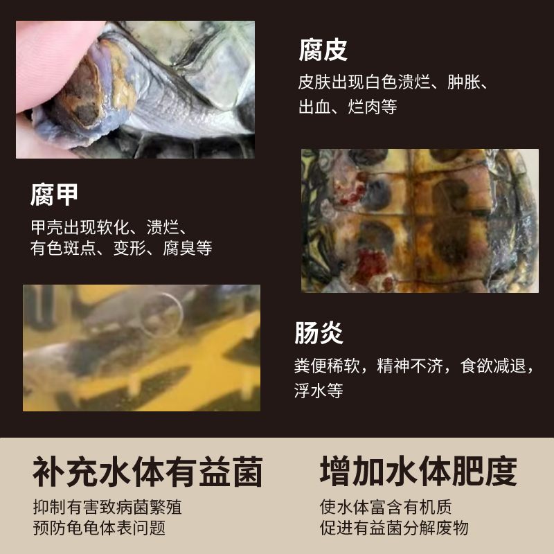 育归肥菌包：龟缸养龟必备神器，告别腐皮真菌肠炎难题！