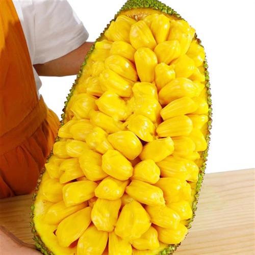 海南黄肉菠萝蜜：当季新鲜整箱包邮，尝鲜必备！