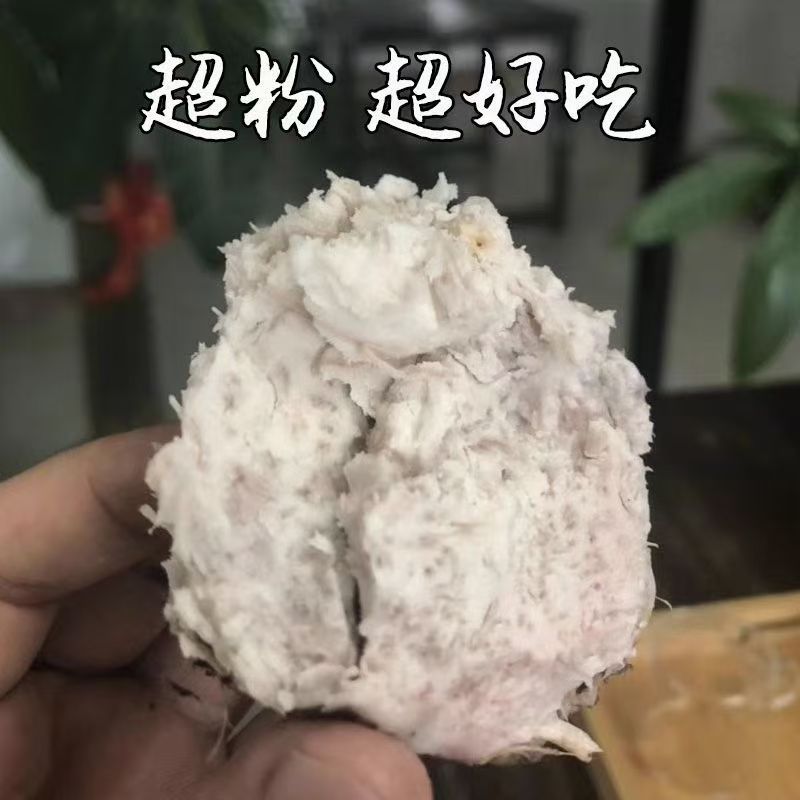 荔浦牛奶芋头仔：鲜挖即食，解锁芋头界的“粉糯宝藏”！