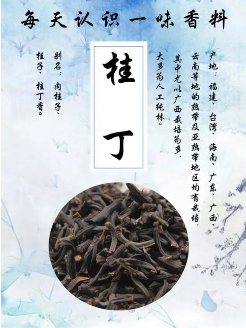 桂丁的功效与作用,中药宝库中的瑰宝