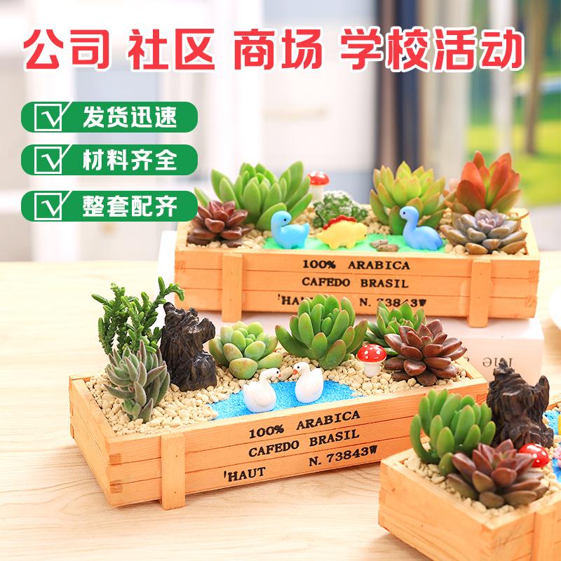 多肉植物组合太香了！办公室绿植DIY新宠，养出幸福感爆棚