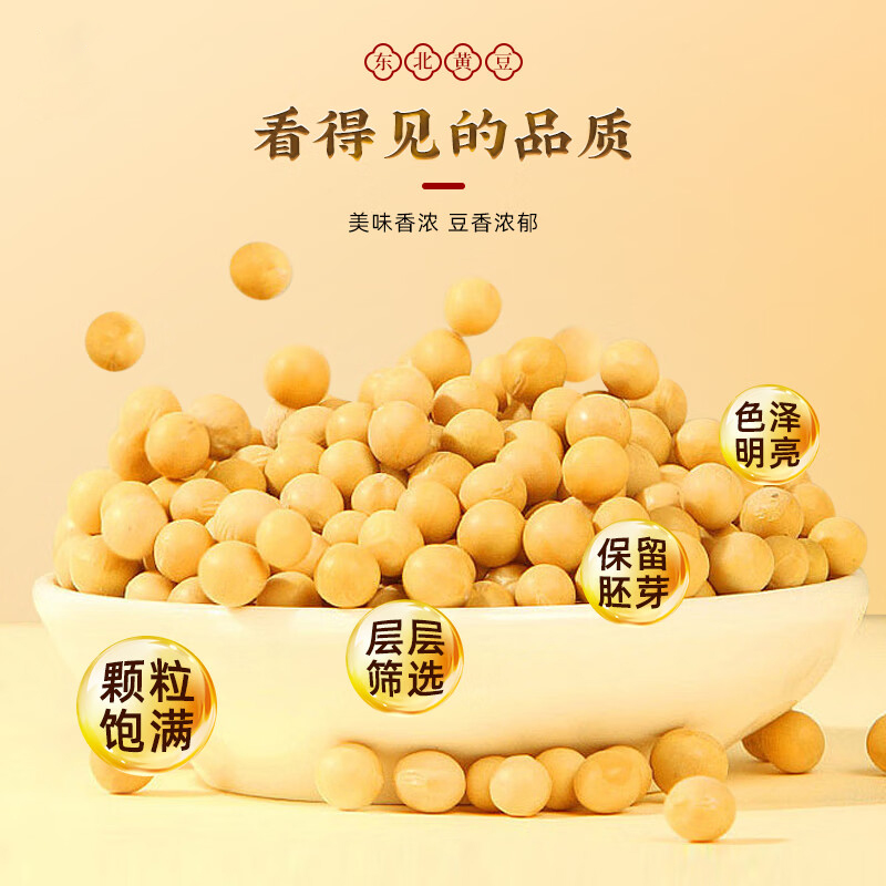 邹有才非转基因东北黄豆：纯天然大豆，豆浆界的扛把子！