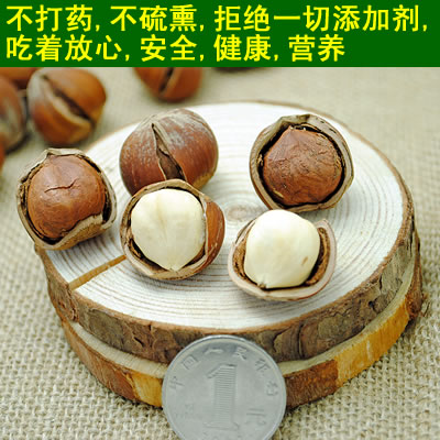 桓仁榛子太香了！薄皮玉坠原味干果，送礼自用都超值！这波不冲真的亏大了