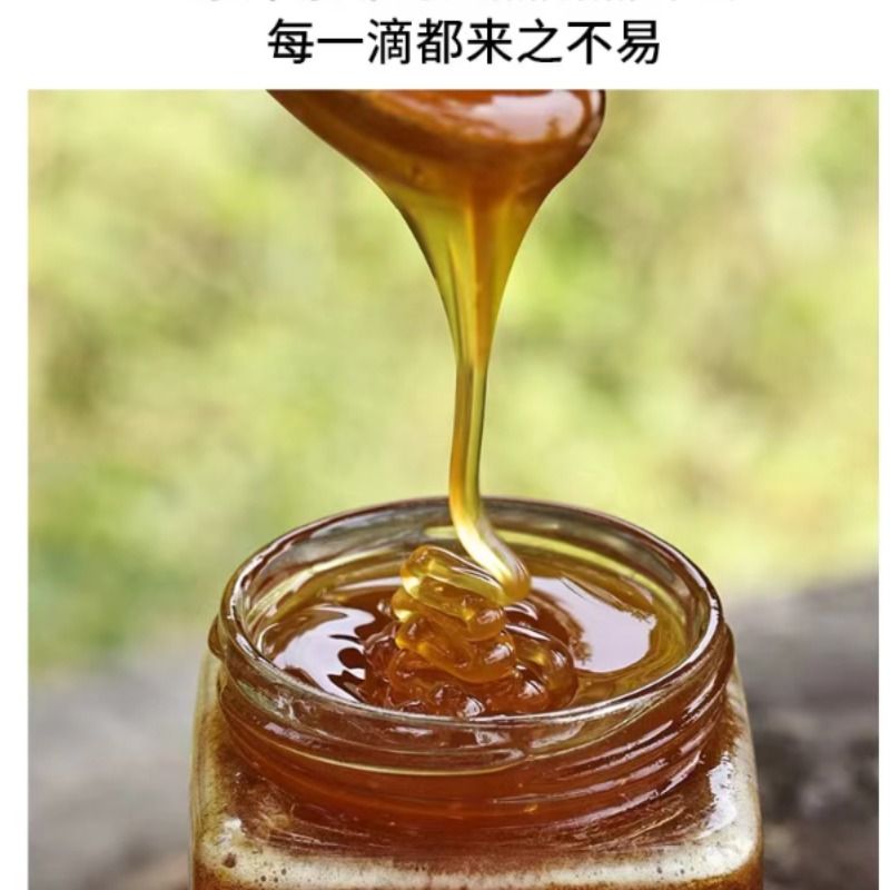 枣花蜜聚蜜源液态蜂蜜500g瓶团购送礼，深山农家自产土蜂蜜，百花之精华！