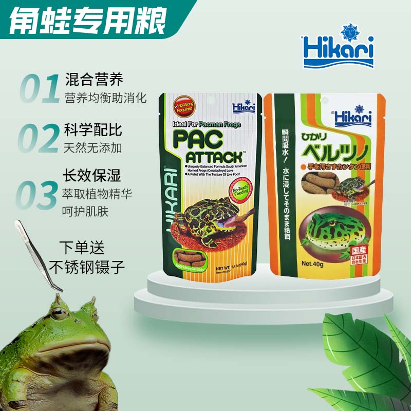 高够力角蛙粮真的绝！小丑蛙/钟角蛙都抢着吃！这波不冲亏大了