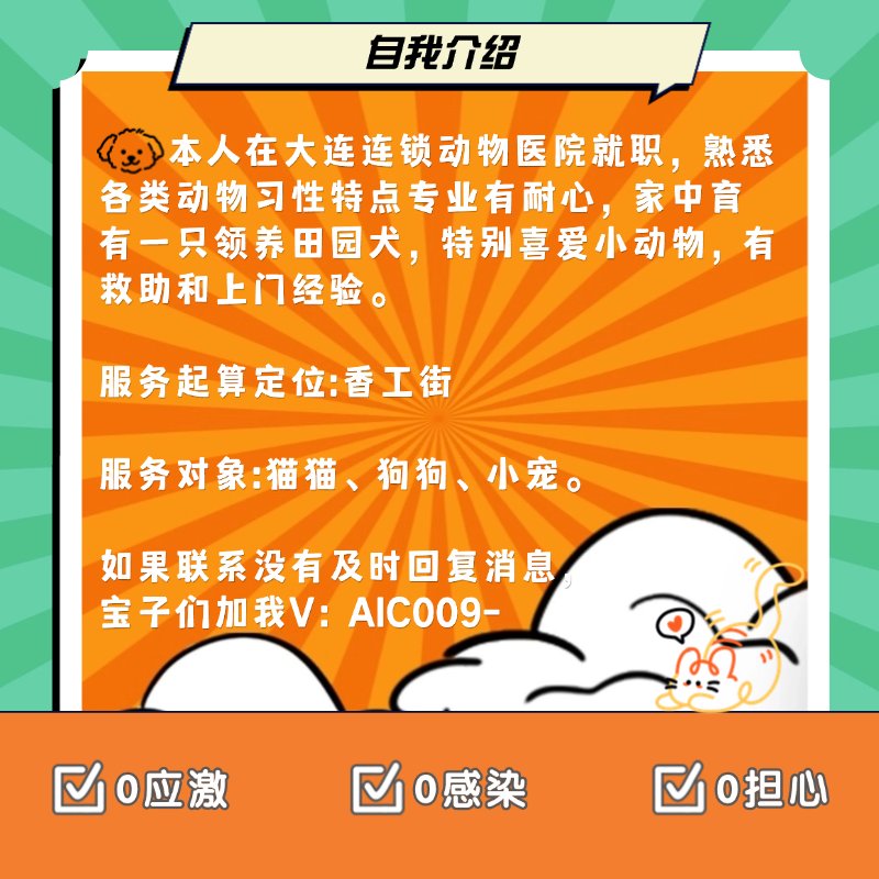 大连宠物上门喂养：让爱宠在家也能享受五星级待遇！