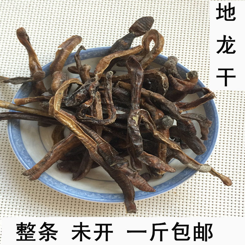 原条地龙黑地龙大青蚯蚓干臭蚯蚓诱饵，钓鱼达人的必备神器！