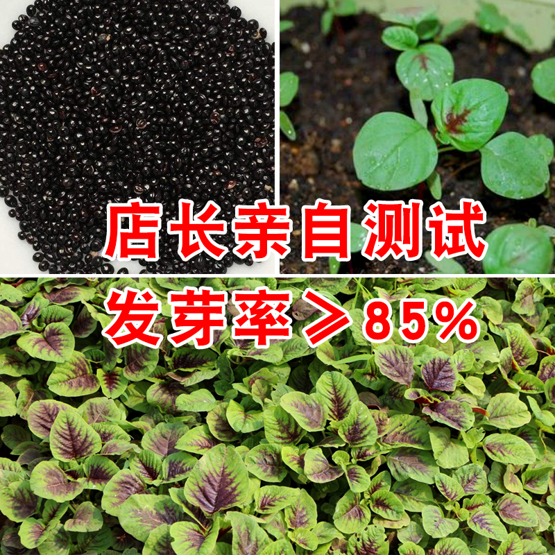 健康状况一般填写什么内容？