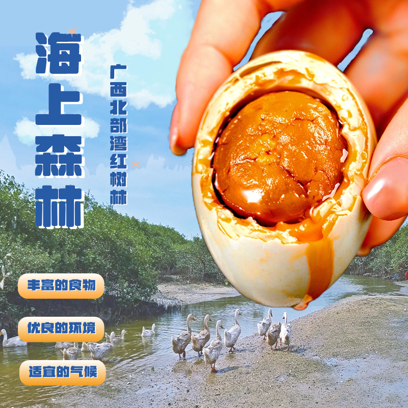 正宗流油烤海鸭蛋礼盒装，广西红树林的味觉盛宴！