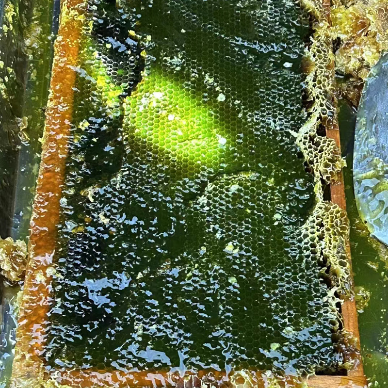 日本毛绒玩具品牌：宝藏萌物聚集地，治愈系天花板！