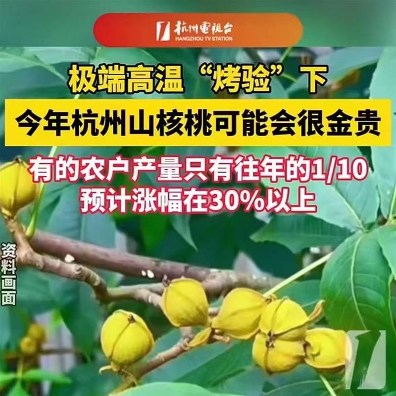 临安山核桃仁2024新货：手剥特好剥，让你轻松享受自然美味！