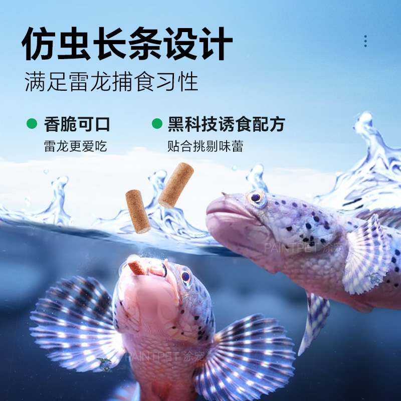 巴卡雷龙苗子怎么挑？揭秘鉴别技巧，新手必看！