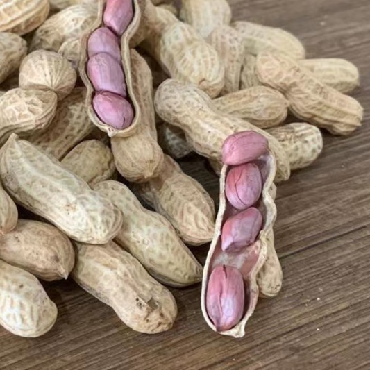 如何写出吸引人的淘宝食品评论文案？