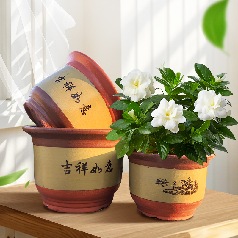 花盆选购攻略：从陶瓷到紫砂，如何找到最适合你的花盆？