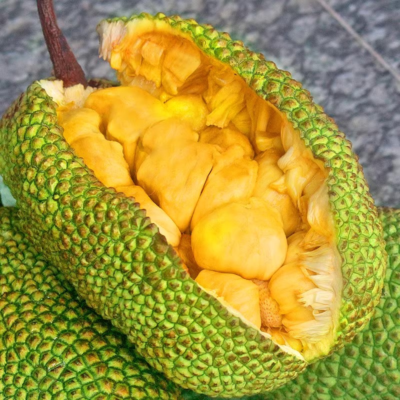 海南三亚榴莲蜜：软糯香甜，一口入魂的热带水果盛宴!