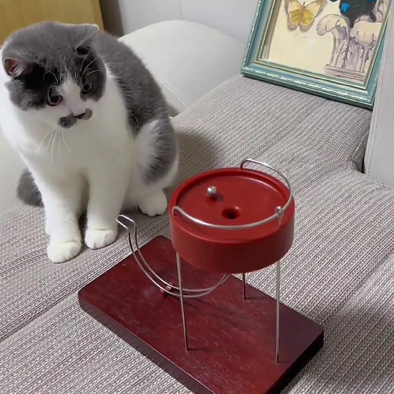 逗猫钢珠永动机：猫咪自嗨神器，自动解闷的萌宠玩具！