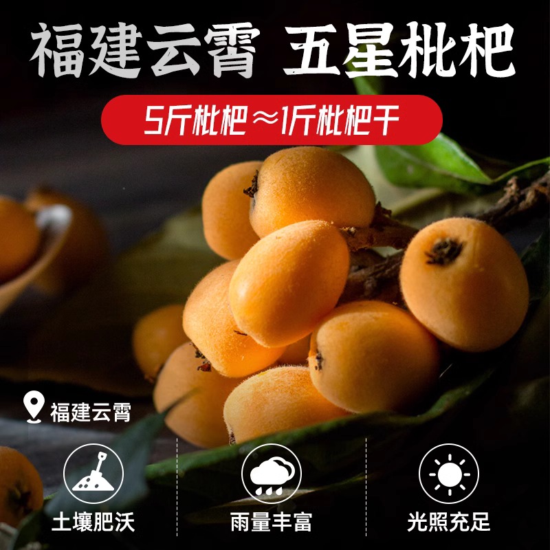 竹盐枇杷干：无蔗糖的福建特产，化痰止咳的秘密武器！