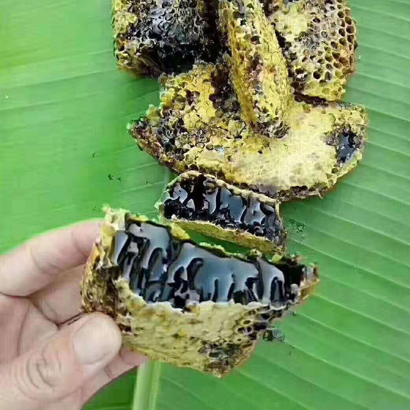 云南纯正天然野生高山米团花青素黑蜂蜜，送礼自用两相宜✨