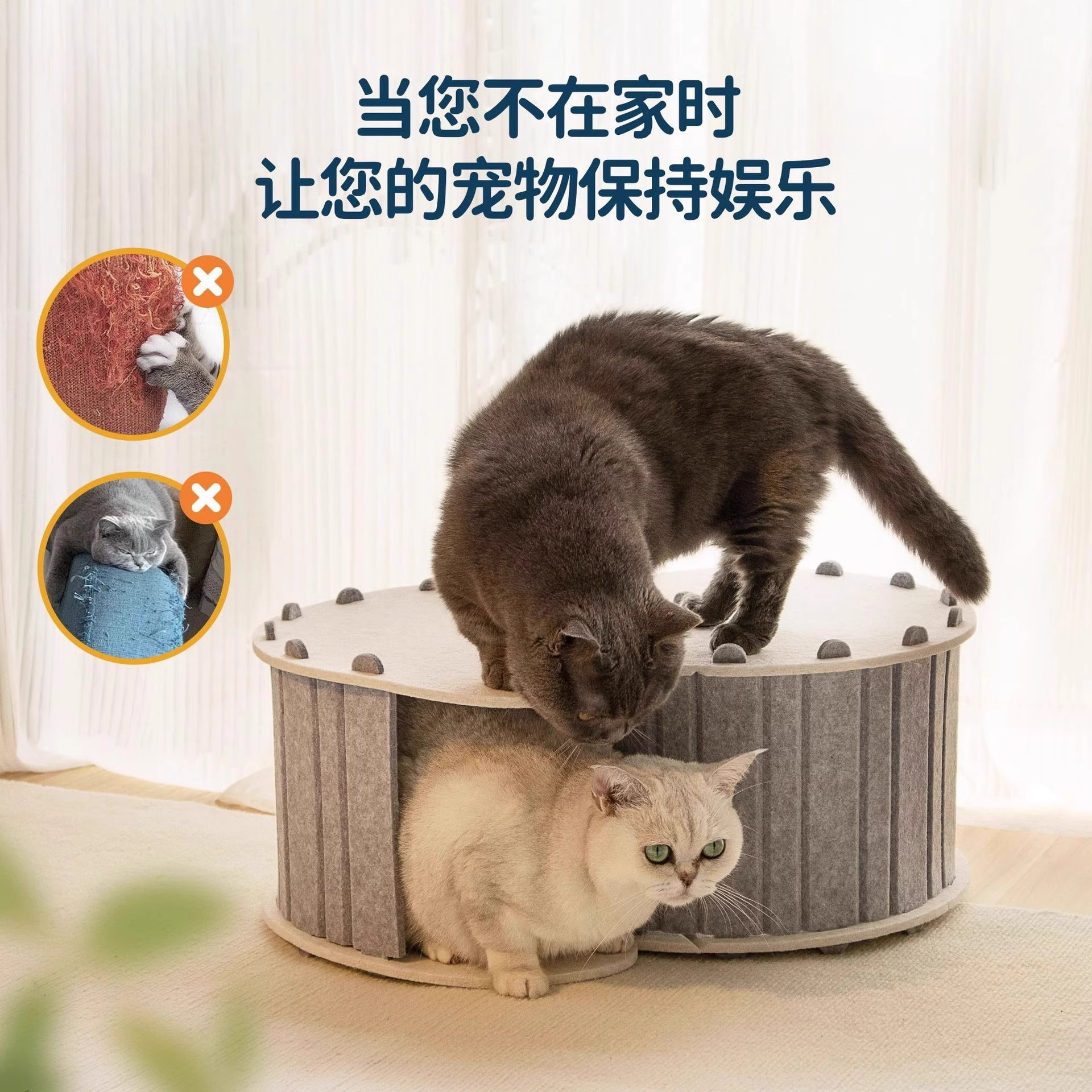 猫隧道大揭秘：让幼猫自嗨不停歇，剑麻抓板+四季猫窝，宠物必备神器！
