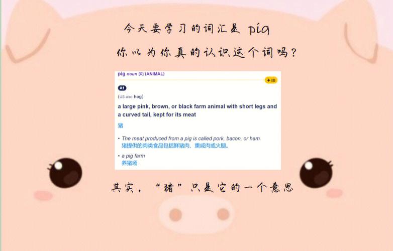 大数据pig,概述与重要性