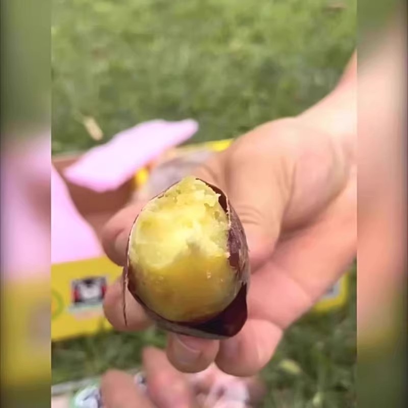为什么榴莲蜜薯品种如此特别？