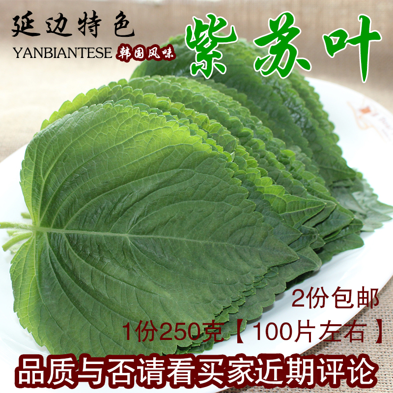 紫苏叶大揭秘：东北紫苏叶&amp;韩国烤肉的灵魂伴侣✨