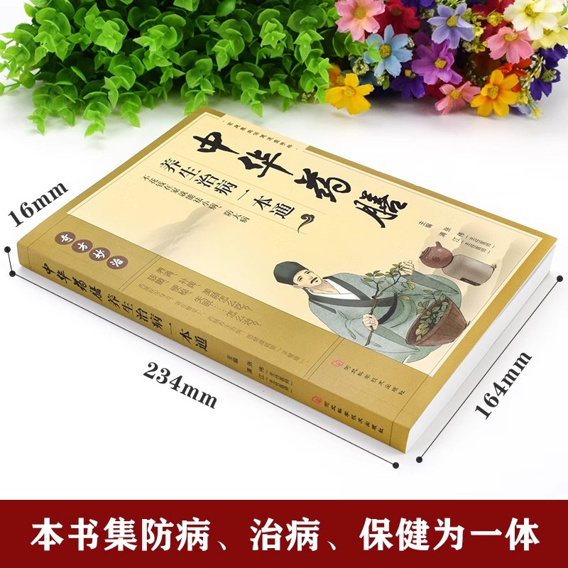 正版中药材百科：领略中药材文化，调养保健，日常药膳养生秘籍大公开！
