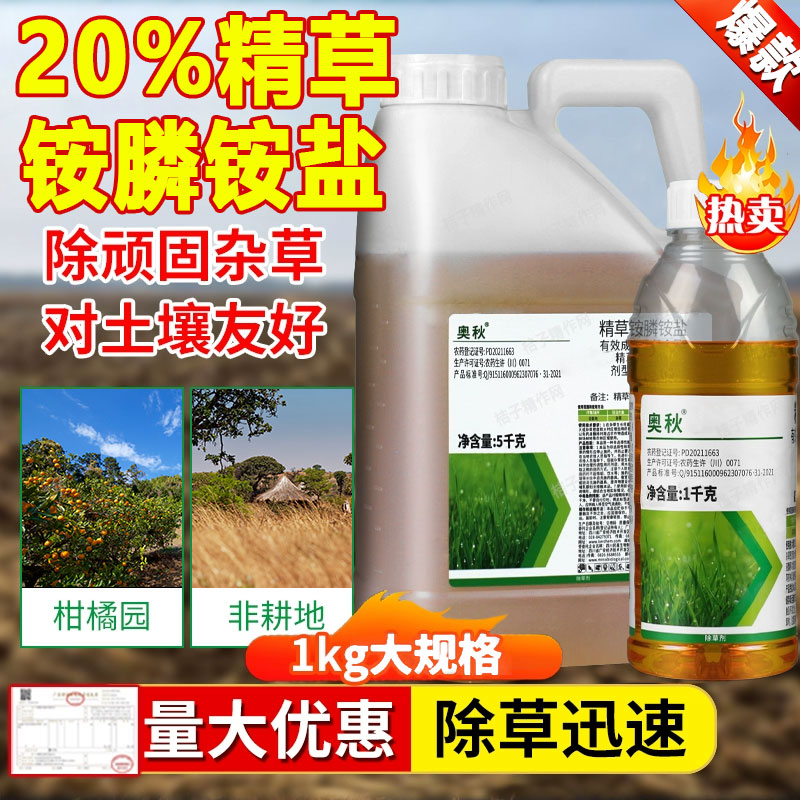 磷酸一铵：蓝莓专用肥料的黄金搭档，解锁高产秘诀！