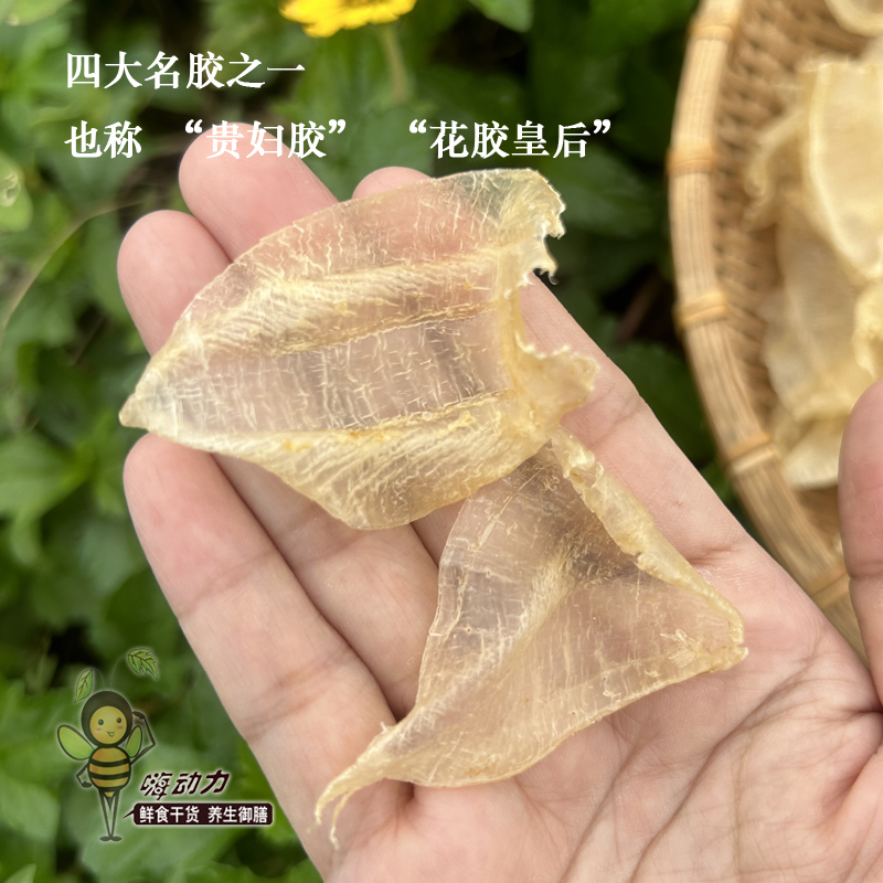 【白花胶】60头鱼胶花胶，贵妇胶的秘密武器，上脸快的美容圣品！