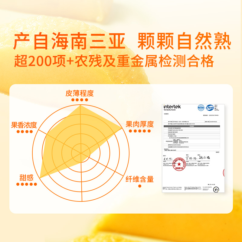 东方甄选主播小园是谁？揭秘她的爆红之路！