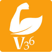 V36平台1