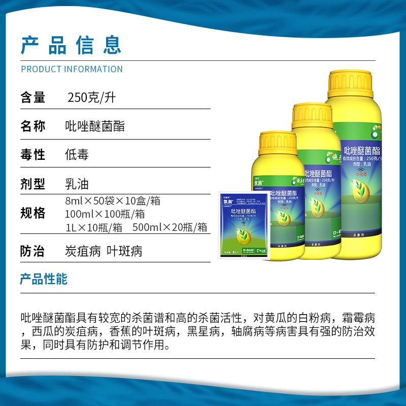 德国巴斯夫凯润吡唑醚菌酯：月季霜霉病、叶斑、炭疽病、白粉病的终极解决方案！