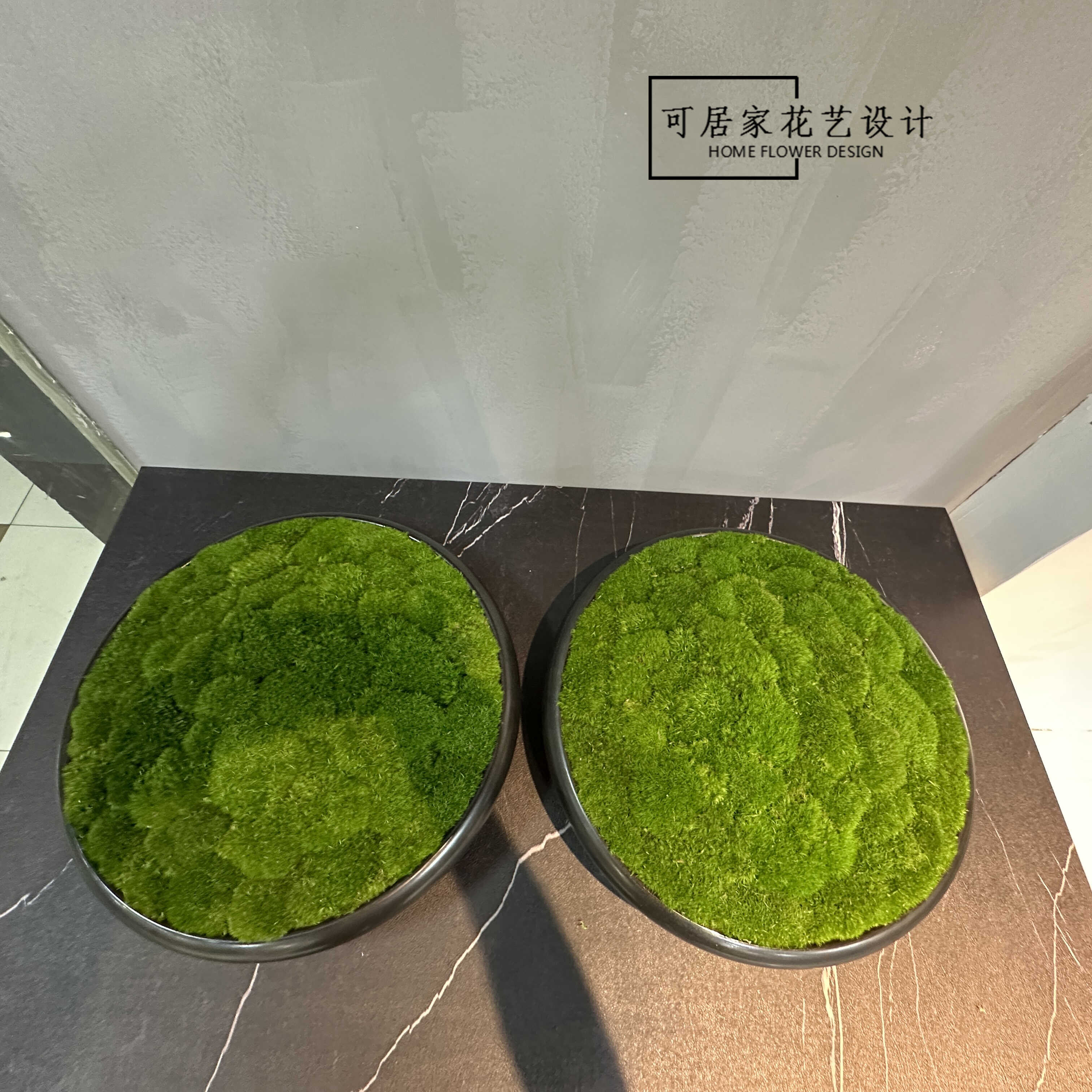新中式永生苔藓盆景，侘寂美学打造居家新风尚