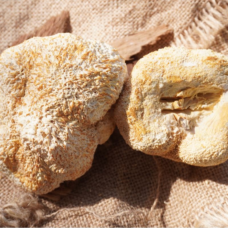 猴头菇干货500g：古田特产，煲汤神器，无硫熏新鲜上线！