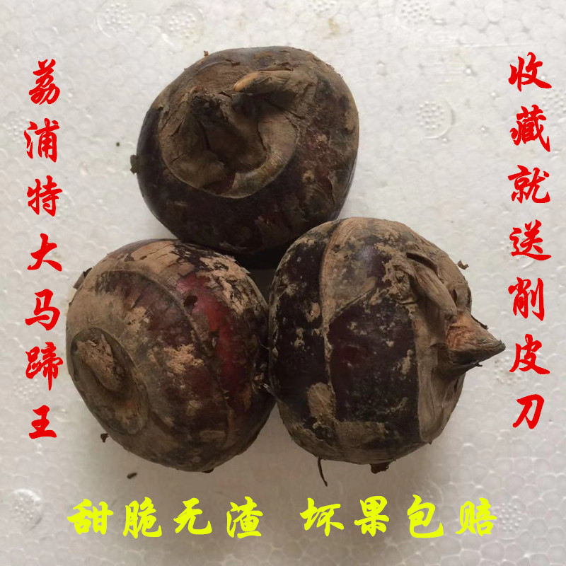 广西荔浦马蹄荸荠：甜蜜解渴，天然好滋味！