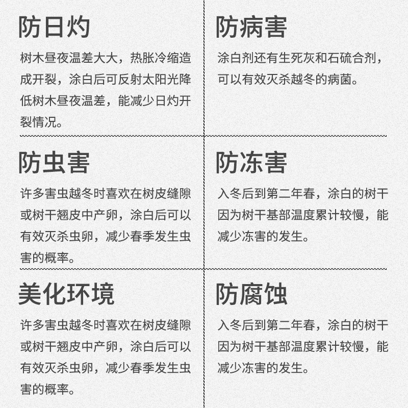 树木涂白剂20kg真香预警！果树防虫防冻神器，园林养护必备！