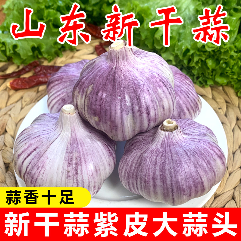 【首单直降】山东紫皮大蒜：新鲜直达，蒜香满溢的秘密武器！