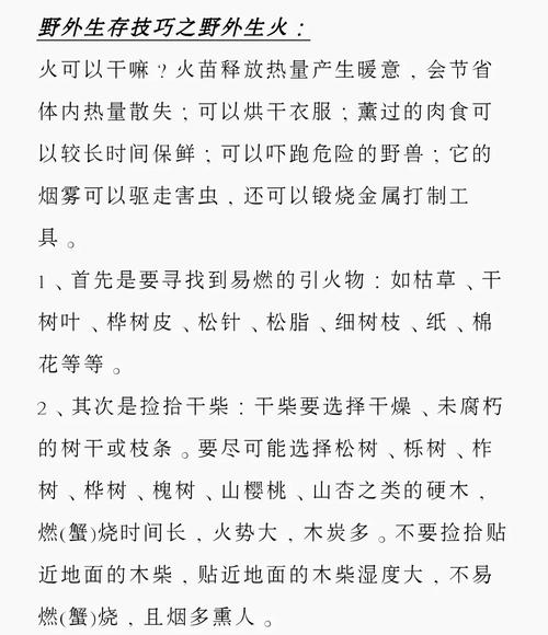 暗区突围,硬核射击手游的生存攻略