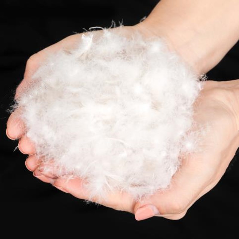 95%大朵白鹅鸭绒：冬季保暖新宠，让你温暖过冬