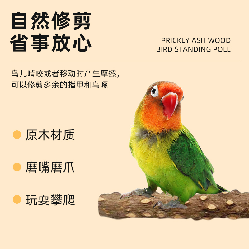 金太阳鹦鹉专属秋千站杆：如何挑选最佳花椒木藤树杈栖木配件？
