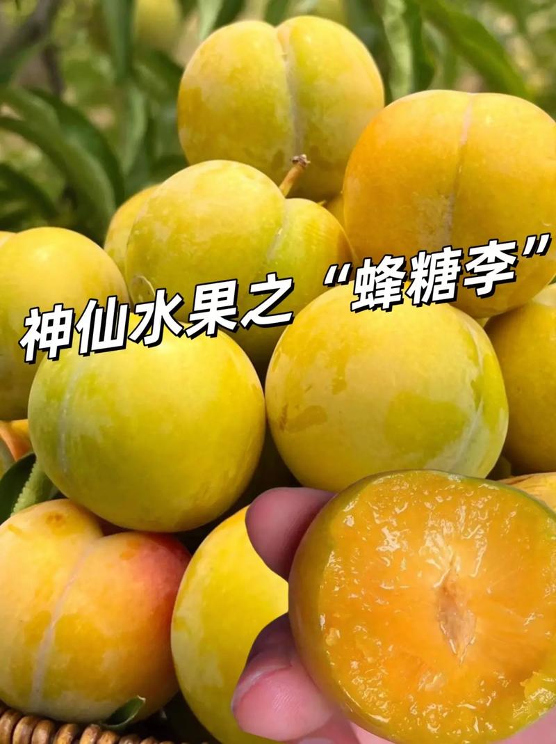 老公每天吃我小花园会伤肝吗